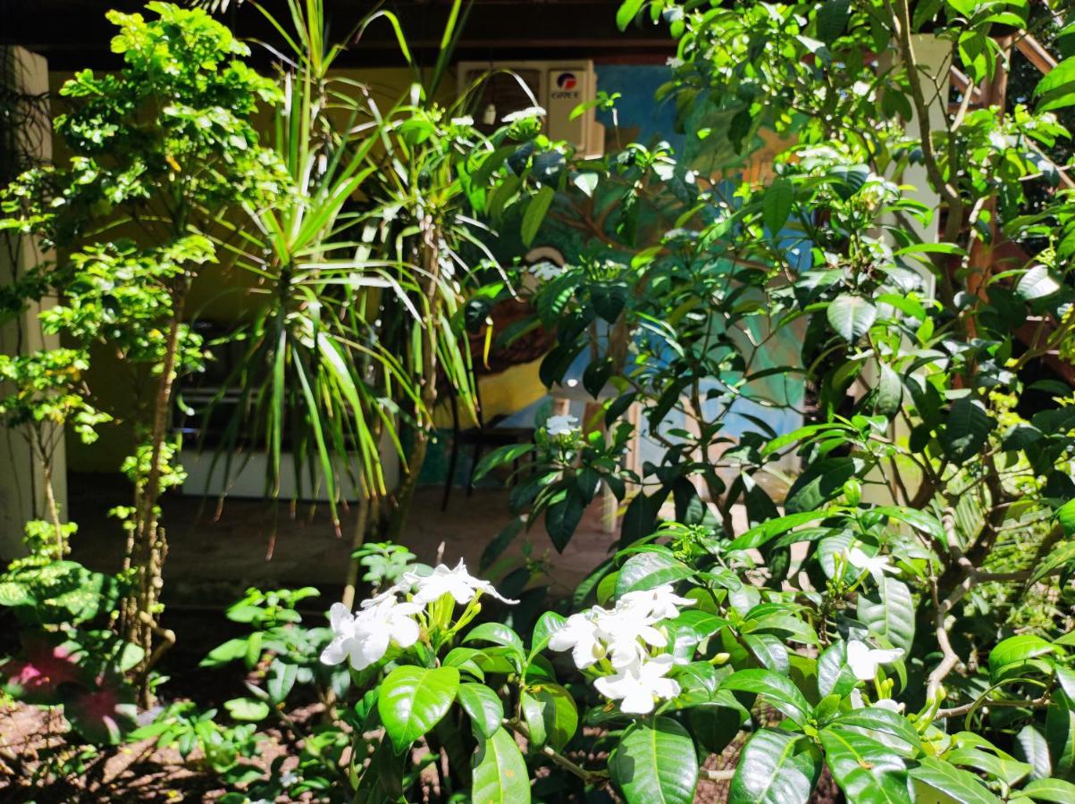 Shangri-Lá Hostel Barra Grande  Exterior foto